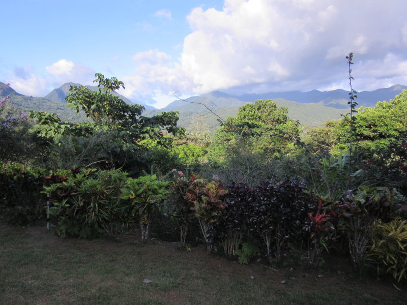 Mountain views