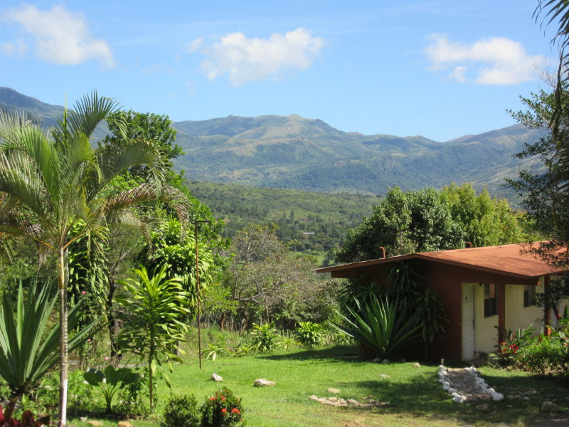 Hotel garden