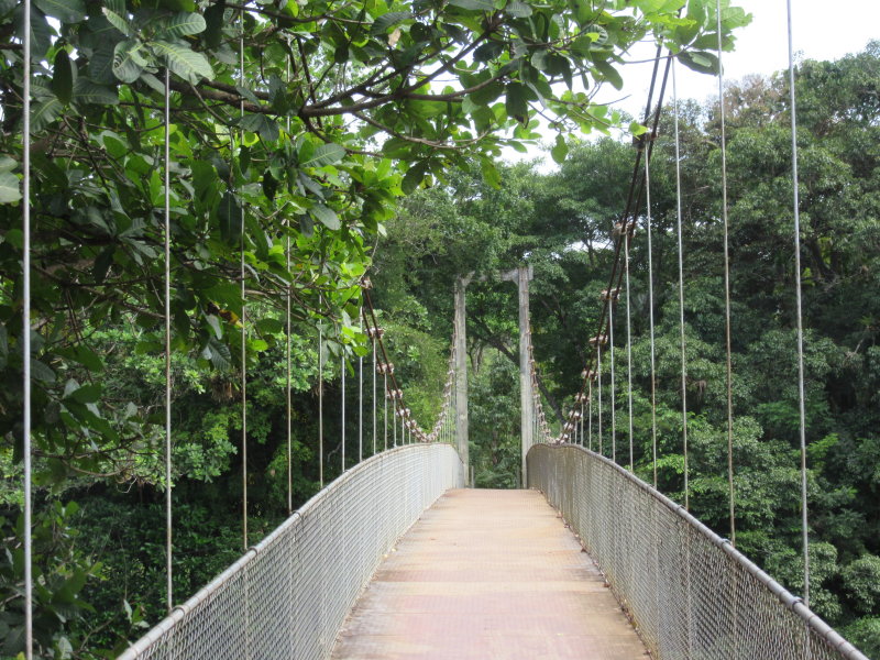 Footbridge