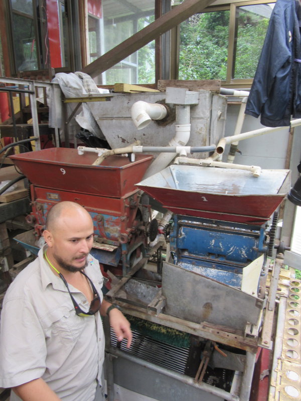 Machinery to remove the skin, pulp etc