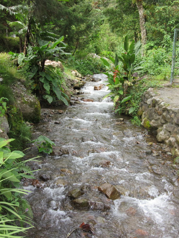 Wee stream