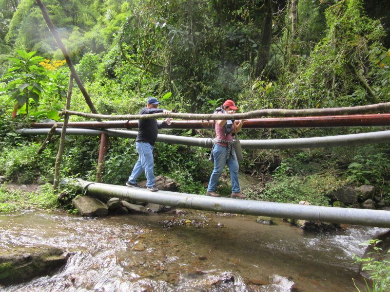 Follow the pipeline