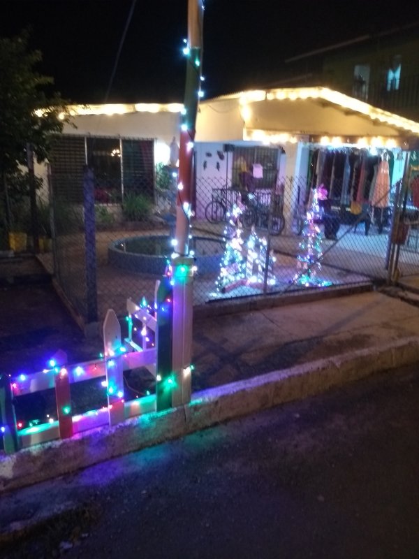 Christmas lights