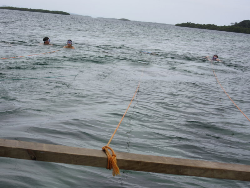 Push down to go under the water