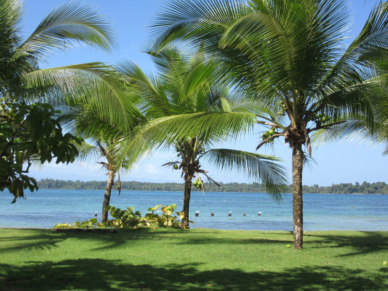 Boca del Drago