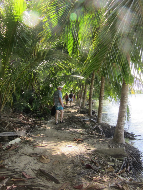 Walk to Starfish beach