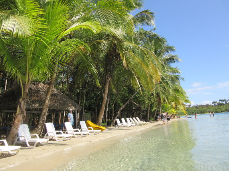 Pick a lounger for the day