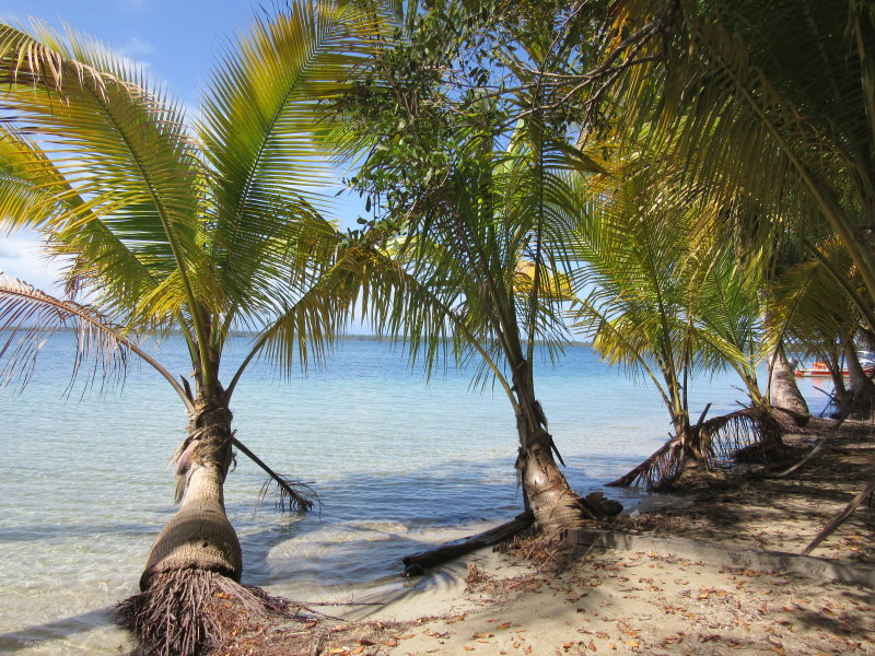 On walk to Starfish beach