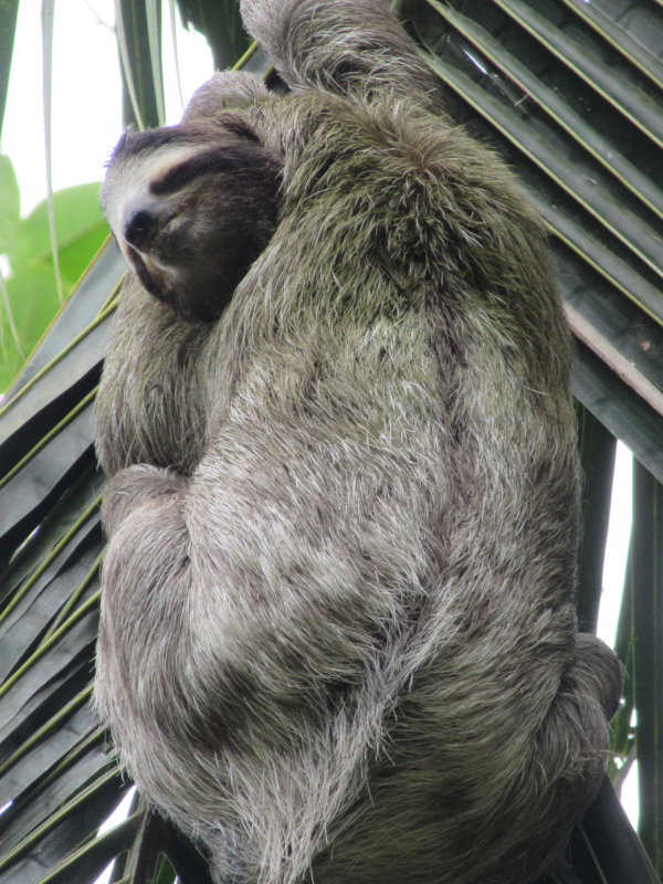 Just hanging around