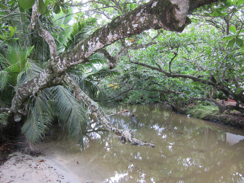 We had to cross this mighty river