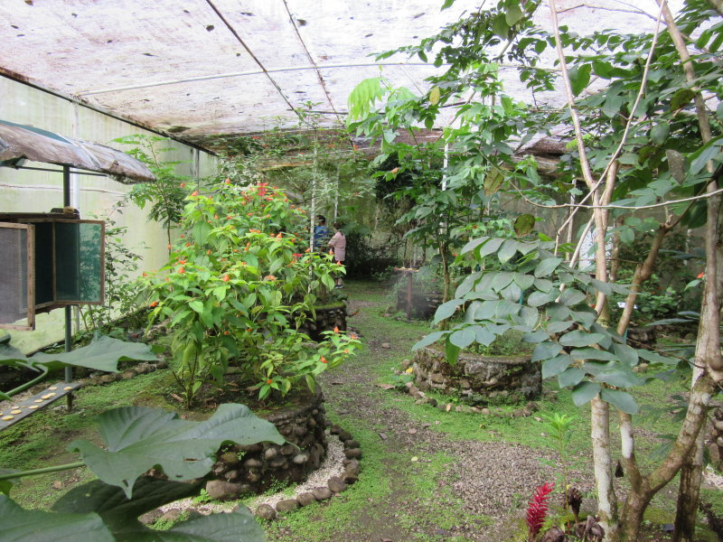 Butterfly flight house