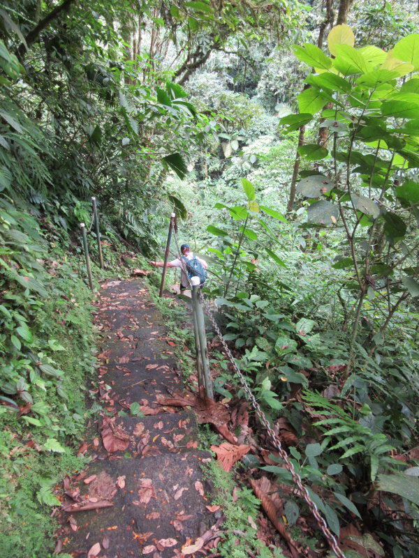 Hike down to La Fortuna waterfall