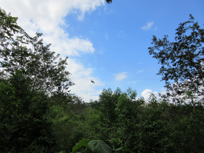 Spot the zipliner
