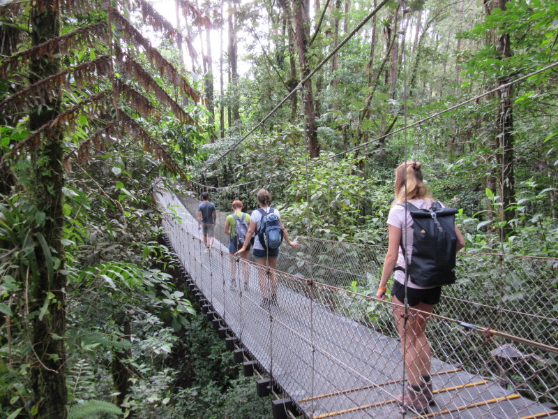 Hike around PN Volcan Arenal