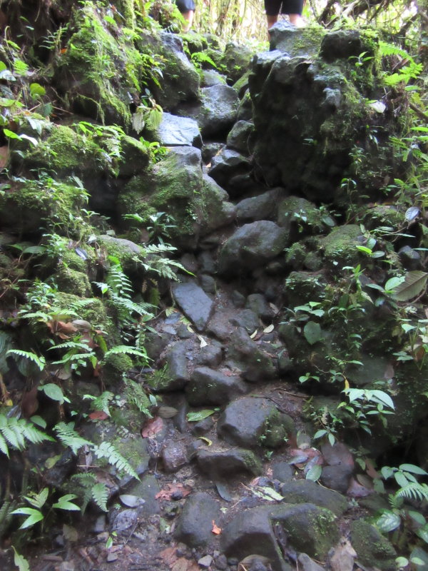 Lava rocks