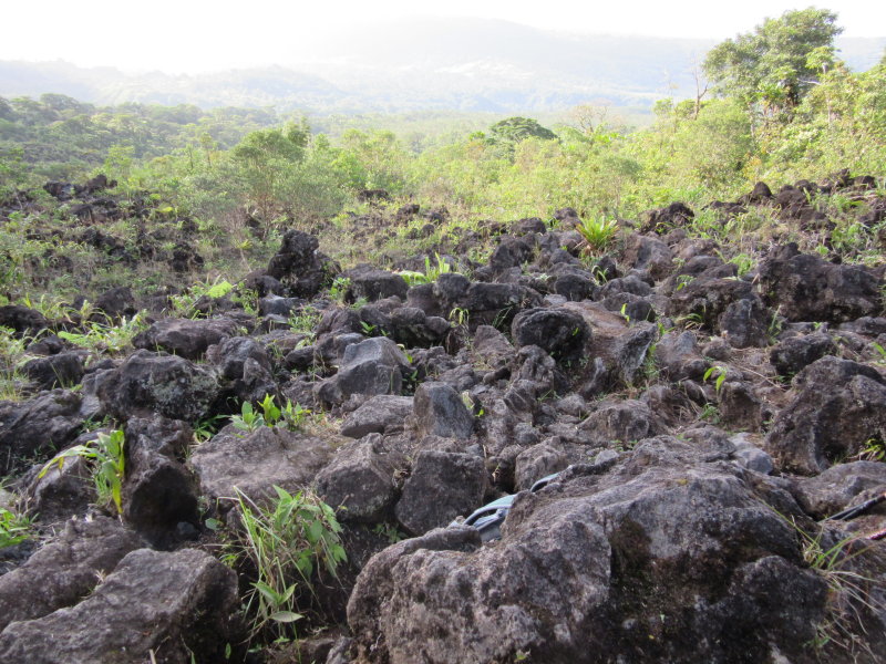 Lava rocks