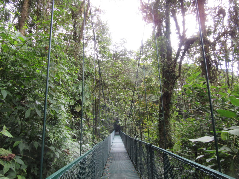 Hanging bridge