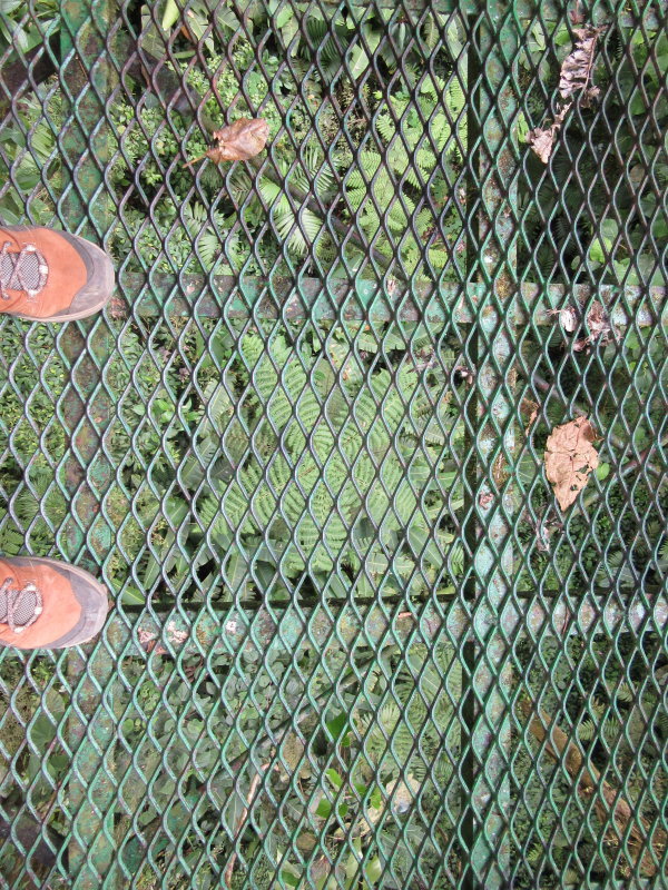 Looking down through the bridge