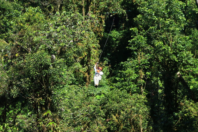 Really enjoyed these ziplines