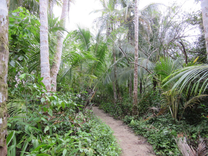 PN Cahuita