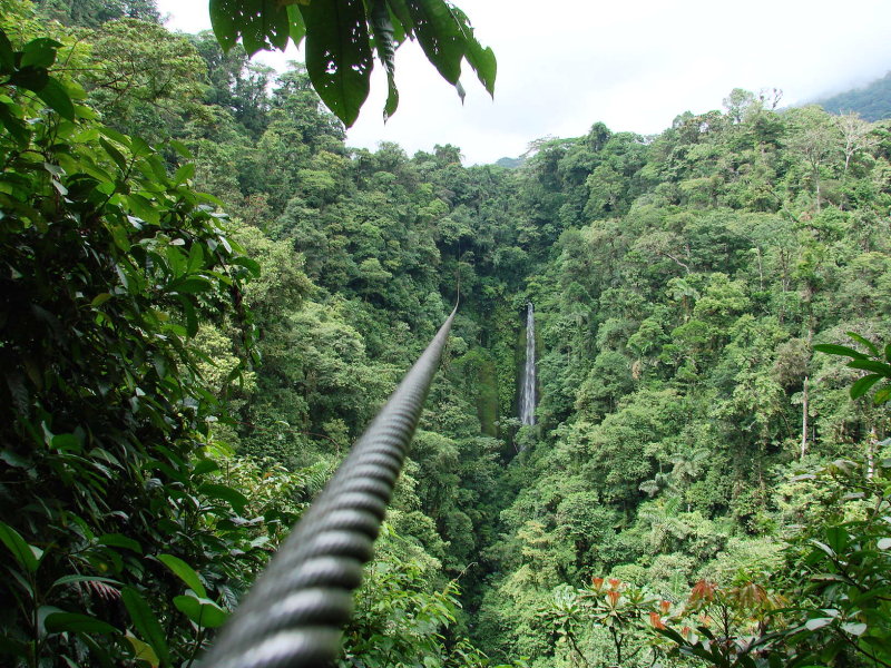 Zipline passing White Pine Waterfall