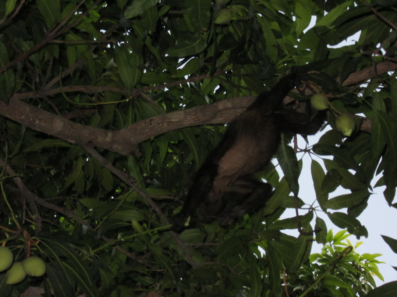 Reaching for food