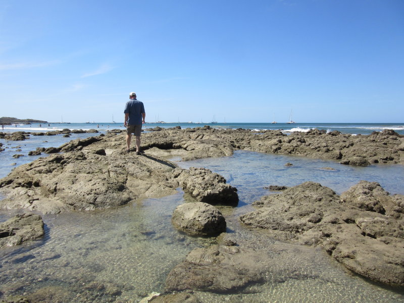 Rocks exposed when the tide is out