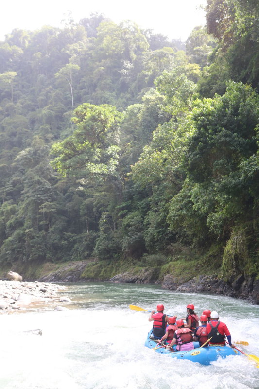 River flows though virgin rainforest