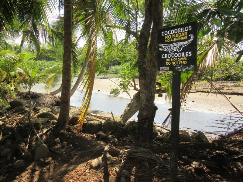 Warning of crocodiles