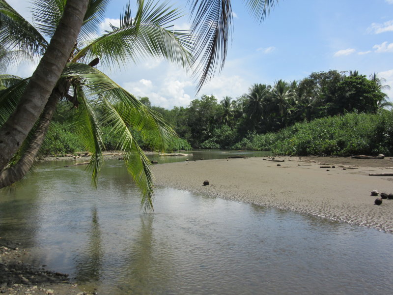 Looking for crocs