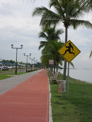 Causeway - good for upright joggers