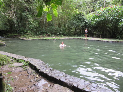 Rocky swimming pool - surrounded by rainforest