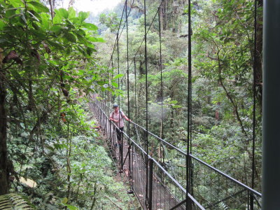 Across a hanging bridge