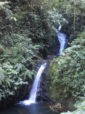 Pretty waterfall