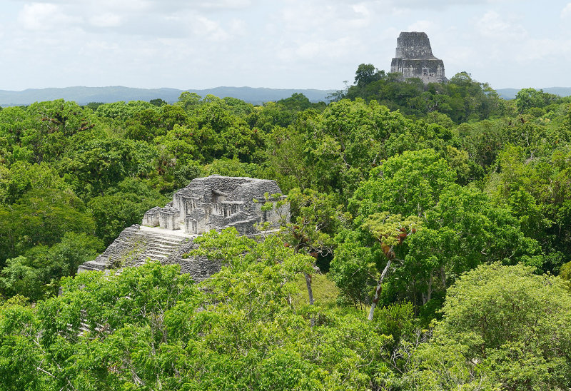 Tikal ruins