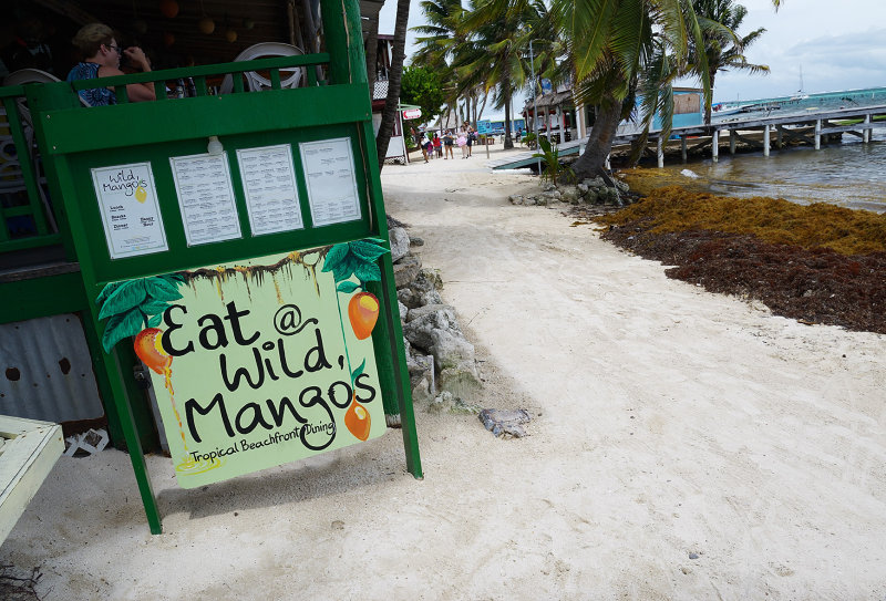 Ambergris Caye