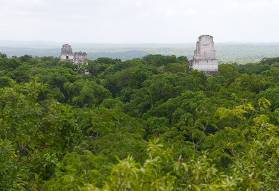 Tikal ruins