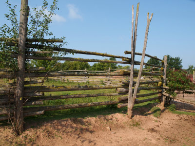 I Thought This Fence Was Neat...Was Going To Shoot A Model Back Here But...