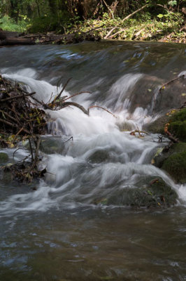 Sur l'Orvanne-1003l.jpg