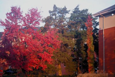 CIMG_4457.jpg