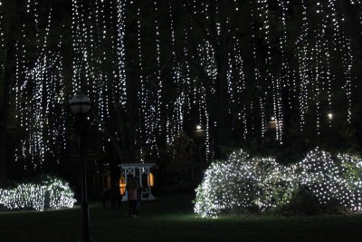 Harding Christmas Lighting Ceremony 2018