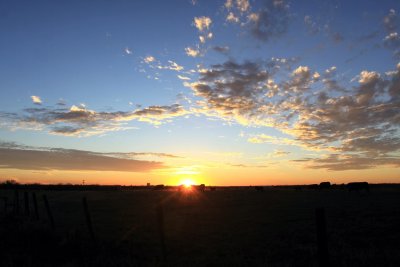 IMG_6436.JPG