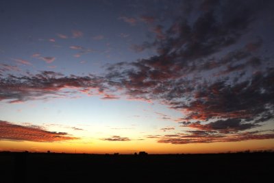 IMG_6581.JPG