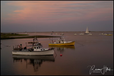 Cape Cod Boats in Harbor LG.jpg