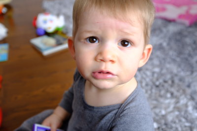 Russell and his big brown eyes!