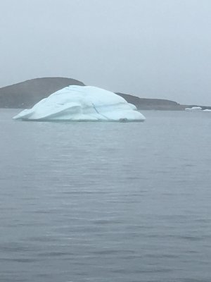 One of 'tousands of icebergs