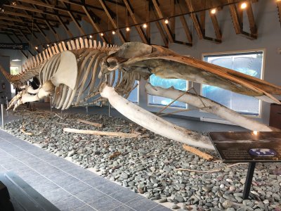 King's Point Whale Pavilion