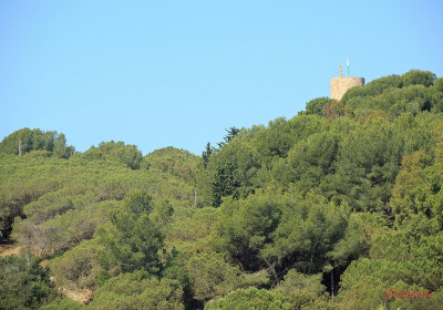 lloret-de-mar-costa-brava_13.jpg