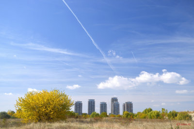 parcul-vacaresti-bucuresti_64.jpg