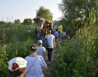 tura-poteca-parcul-vacaresti-bucuresti_04.JPG